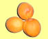 Anamorphic apricots